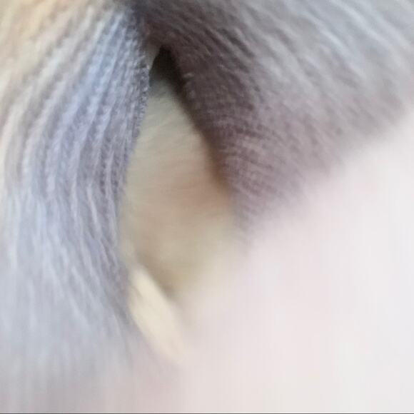 Ugg 5819 Cardy grey fold over knit winter boots Size 7 - Picture 6 of 8